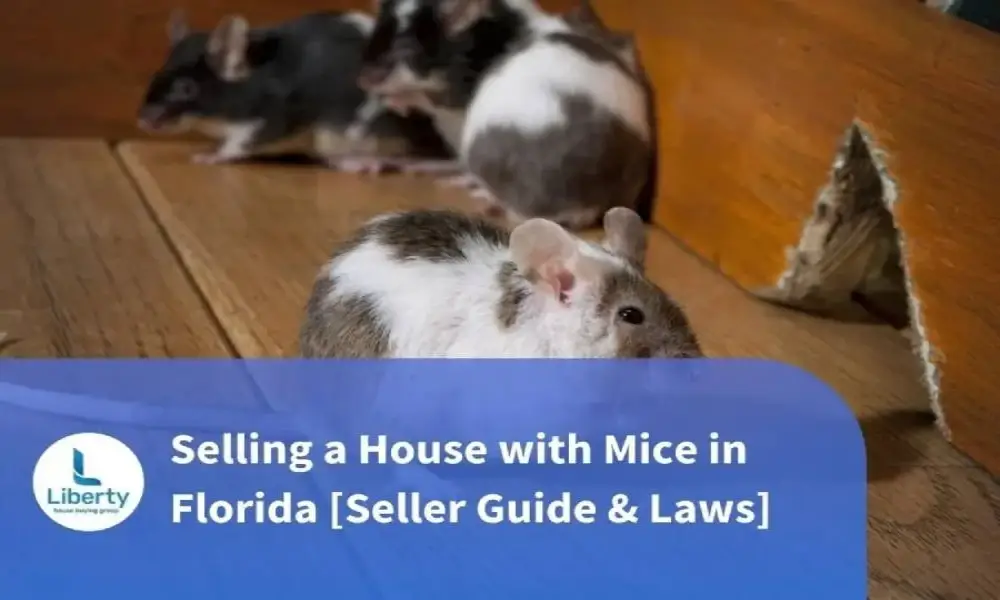 Selling a House with Mice